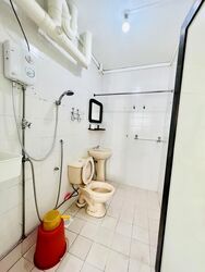 Blk 525 Pangshan Valley (Bukit Panjang), HDB Executive #554120381
